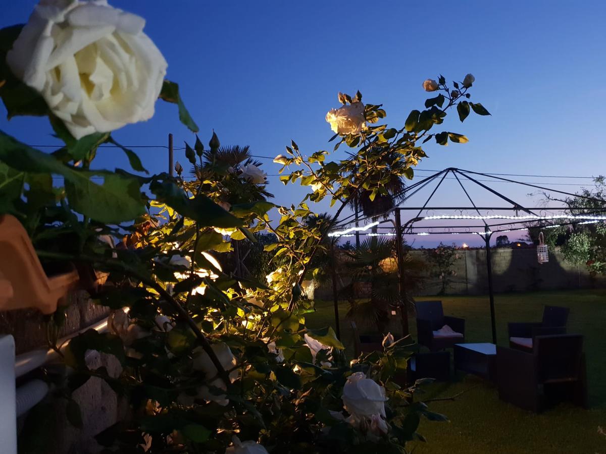 Villa Elegance Ladispoli Extérieur photo